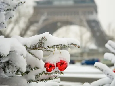 Чем заняться в Париже этой зимой 2023-2024 годов? Идеи на сезон! -  Sortiraparis.com