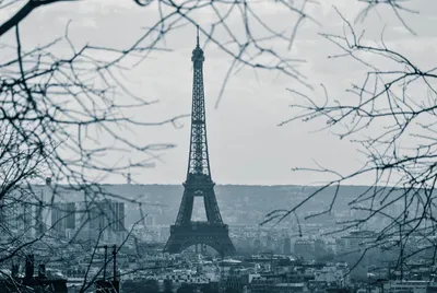 Париж зимой фото фотографии