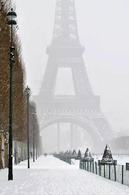 Зима в Париже ❄🌲❄ - Самые красивые места планеты | Facebook