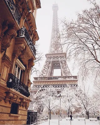 9 фактов о Париже зимой.