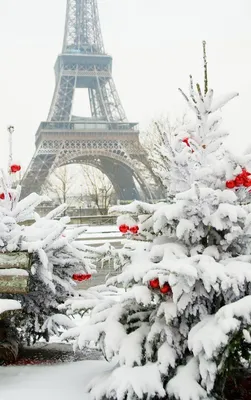 отдых во Франции зимой | Christmas in paris, Eiffel tower, Tour eiffel