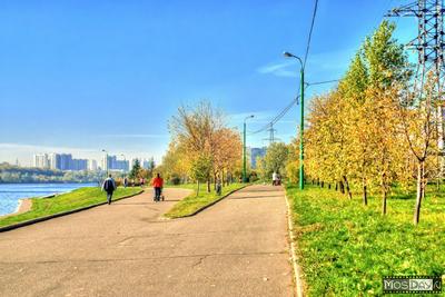 Парк 850-летия Москвы, 33 фото | Потребитель | Дзен