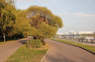 Парк 850-летия Москвы: Спортивный тест-драйв