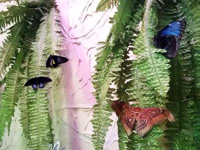 Парк бабочек\" открылся в Екатеринбурге | РИА Новости Медиабанк