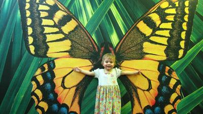 Парк бабочек\" открылся в Екатеринбурге | РИА Новости Медиабанк