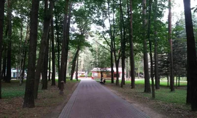 Парк Челюскинцев. Минск.🎠🎡🛝 У частников цены переодически меняются.... |  TikTok