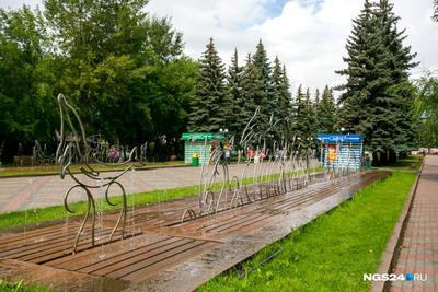 Фотограф показал состояние Центрального парка Красноярска перед  реконструкцией - 14 октября 2023 - НГС24.ру