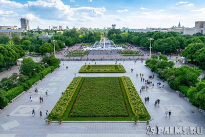 Парк горького Москва фото фотографии