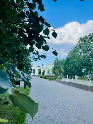 Сельский парк в Татарстане признали объектом культурного наследия