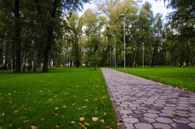 10 октября в парке «Крылья Советов» в Казани состоится субботник