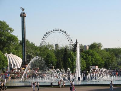 Квест–экскурсия по парку Горького в Москве