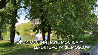 Проект Лефортово парк, цены на квартиры в новостройке Лефортово парк на  официальном сайте ПИК