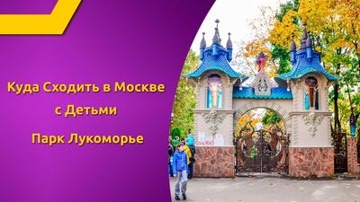 Парк \"Лукоморье\" заставил вспомнить десятки русских сказок | О книгах,  фильмах и городах | Дзен