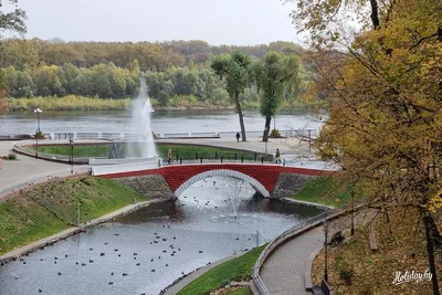 ДОСЬЕ: К 100-летию создания Гомельского дворцово-паркового ансамбля