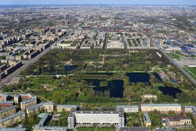 Приморский парк Победы, Санкт-Петербург - «Супер парк для отдыха и  развлечений. Покажу парк в разное время года. Чем тут можно заняться помимо  любования природой?» | отзывы
