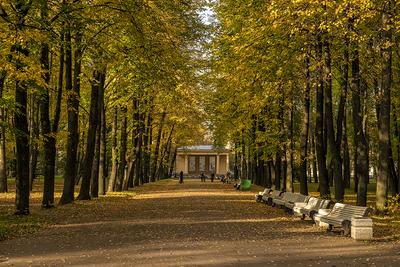 Приморский парк Победы в Санкт-Петербурге: как добраться, что посмотреть,  история