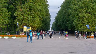 Приморский парк Победы в Санкт-Петербурге: как добраться, что посмотреть,  история