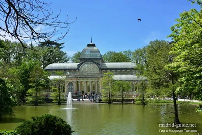 Top 3 Things to do in Retiro Park, Madrid