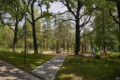 Парк «Швейцария» откроют для нижегородцев на следующий день после 800-летия  города | Деловой квартал DK.RU — новости Нижнего Новгорода
