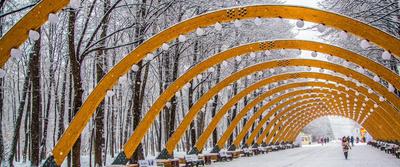 Парк Сокольники, Москва: лучшие советы перед посещением - Tripadvisor