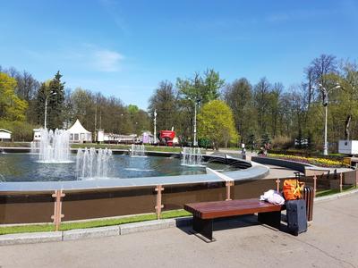 Парк Сокольники, Москва 2024: отели рядом, каток, фото, видео, как  добраться, отзывы — Туристер.Ру