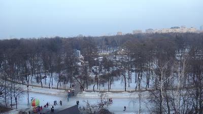 Файл:Парк Сокольники в Москве. Фото 67.jpg — Викимедиа
