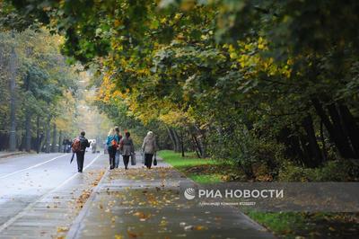 Файл:Парк Сокольники в Москве. Фото 16.jpg — Викимедиа