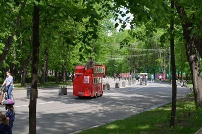 Парк Сокольники – Москва | Парки культуры – Москва | Единая справочная