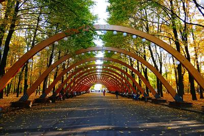 Файл:Парк Сокольники в Москве. Фото 11.jpg — Викимедиа