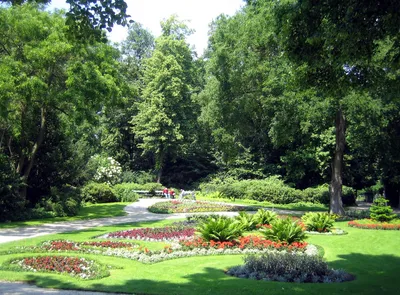 парк тиргартен в берлине стоковое фото. изображение насчитывающей туризм -  225370702