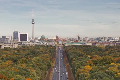 Манипуляция: Немцы из-за кризиса «вырубили почти все деревья в парке Берлина»,  — Bloomberg | StopFake