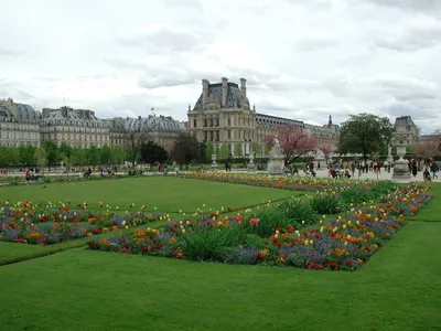 Сады Тюильри - идеальное место в Париже, чтобы стать зеленым -  Sortiraparis.com