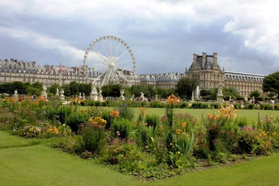 Сад Тюильри и лувр в Париже Во франции. Редакционное Изображение -  изображение насчитывающей франция, париж: 176562030