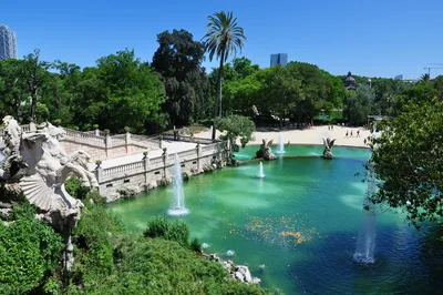 Откройте для себя природную красоту парка Цитадели в Барселоне!