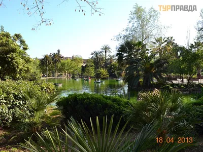 Парк цитадели в городе В барселоне, Испания Редакционное Стоковое  Изображение - изображение насчитывающей фонтан, ладонь: 170729709