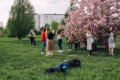 Красивые фото в инстаграм в Казани: цветущие яблони в парке Тысячелетия -  Инде