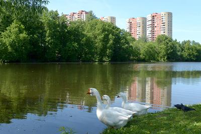 Парк зарядье зимой (36 фото) - 36 фото