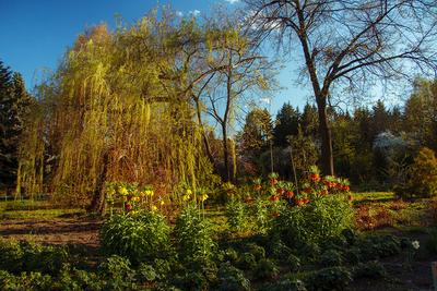 Парки Екатеринбурга 💥: список самых красивых парков с описаниями и фото —  Tripster.ru