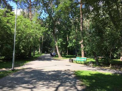 В Екатеринбурге может появиться парк за два миллиарда - УралПолит.Ru