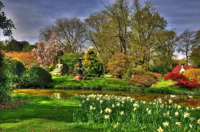 Парк города в Мангейме, Германии Много цветки и деревьев Стоковое  Изображение - изображение насчитывающей бобра, зеленый: 101578817
