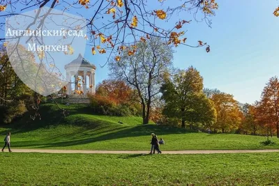 Самые живописные парки Германии | Двигай на природу | Дзен