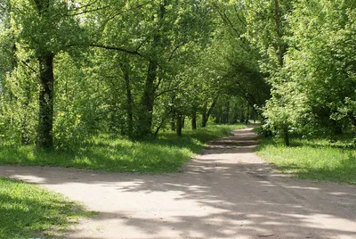 Севастопольский парк (Минск) — Википедия