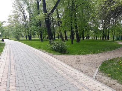 Парки, зоны отдыха и экотропы в Минске будут под обязательным  видеонаблюдением - Минская правда