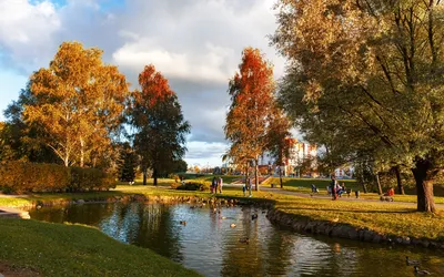 from @storiesminsk Минск. Парк Дрозды. Солнце. Тепло #Минск #паркдрозды  #Minsk #park #summer #parkday #minsktut #minsktop #minskgram… | Instagram