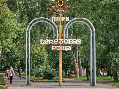 Парки Новосибирска фото