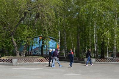 Центральный парк Новосибирска