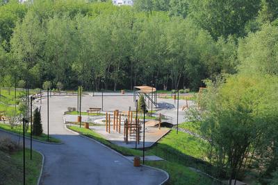 Как будет выглядеть новый парк в Новосибирске. Фото — РБК