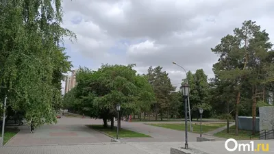 Какие парки будут благоустраивать в Новосибирске в 2024 году - Новости  Новосибирска - om1.ru