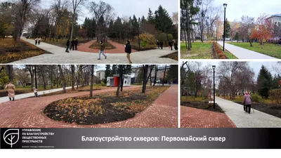 Как преобразились парки Новосибирска в 2023 году и где создадут новые  зелёные зоны в 2024 | SibNOVO