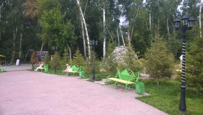 Берёзовая роща (парк, Новосибирск) — Википедия